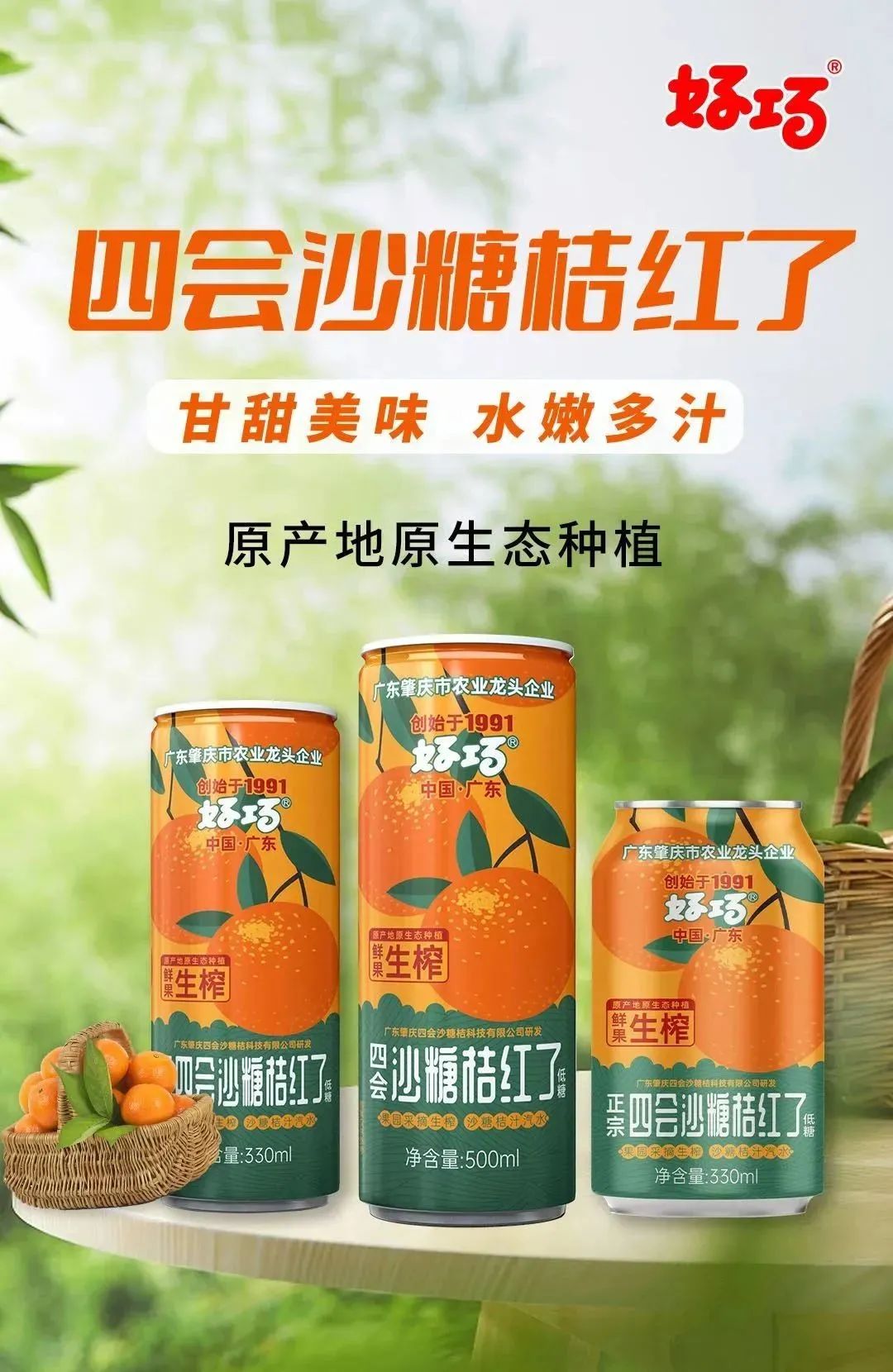 品牌大旺 | 做强做大沙糖桔产业，好巧奏响品牌更强音！